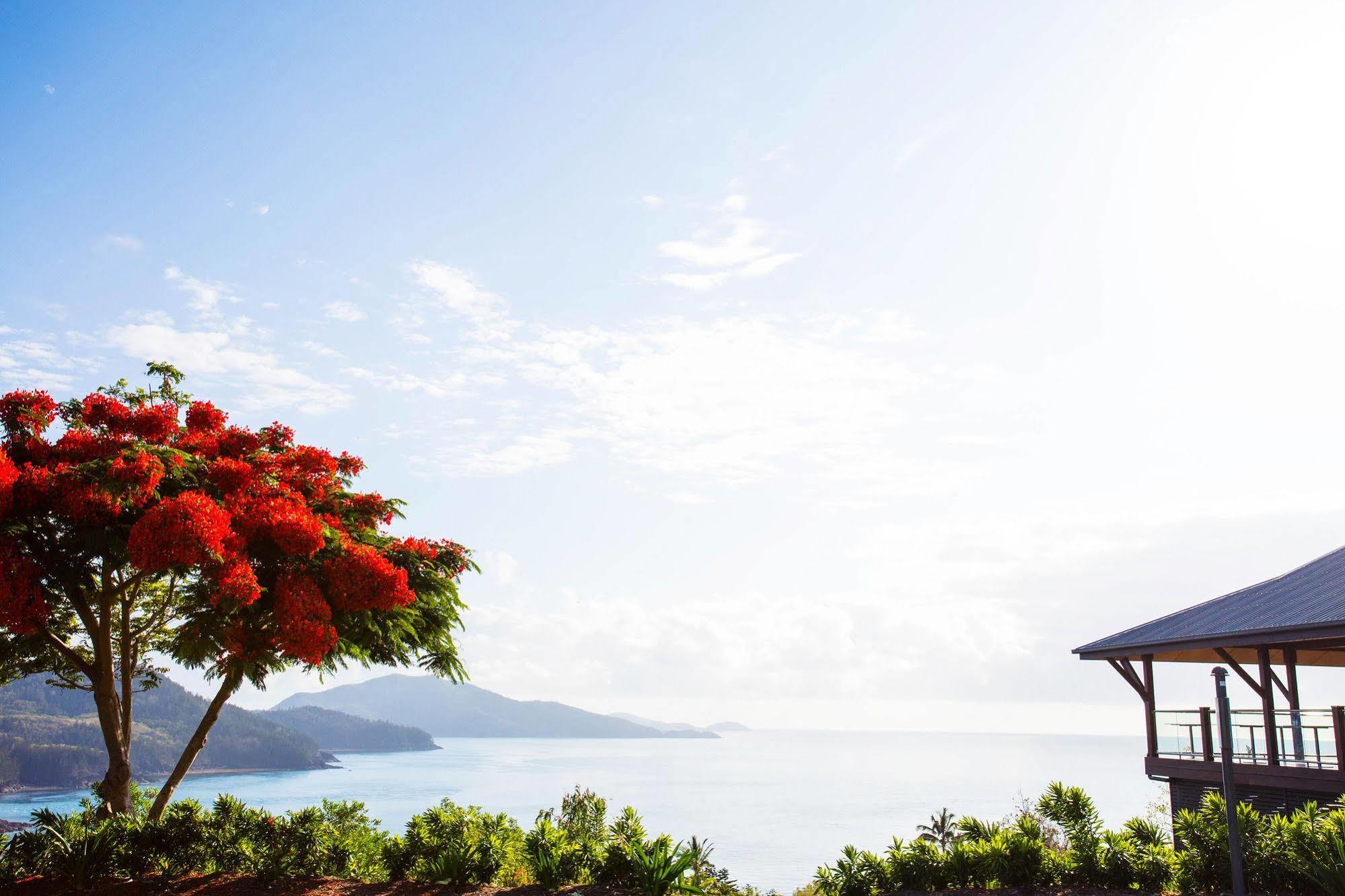 Beach Club (Adults Only) Hamilton Island Exterior foto
